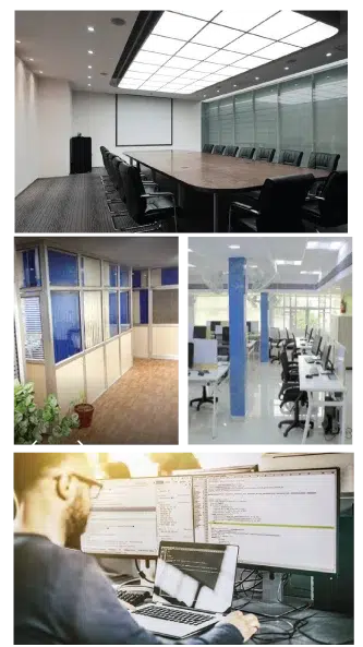 Web Development