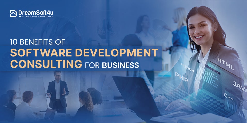 Software Development Consulting