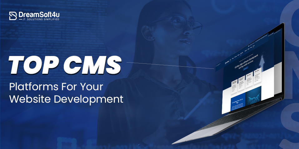 cms website development
